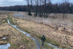 Sytuacja na polsko-białoruskiej granicy 