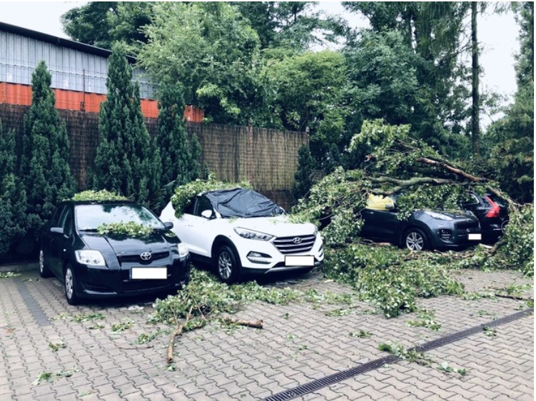 Sytuacja po burzy w Łodzi /Agnieszka  Wyderka /RMF FM