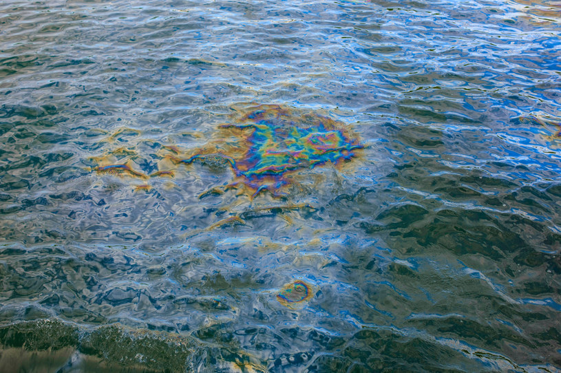Sytuacja po wycieku ropy do Bałtyku w Butyndze opanowana /123RF/PICSEL