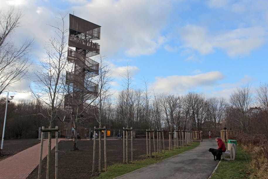 Szachty – zielone serce południowo-zachodniego Poznania. Rybitwy, wieża widokowa i historia cegielni /GRZEGORZ DEMBIŃSKI/POLSKA PRESS /East News