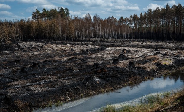 Szacowanie strat w Puszczy Solskiej. Ważny apel leśników i strażaków