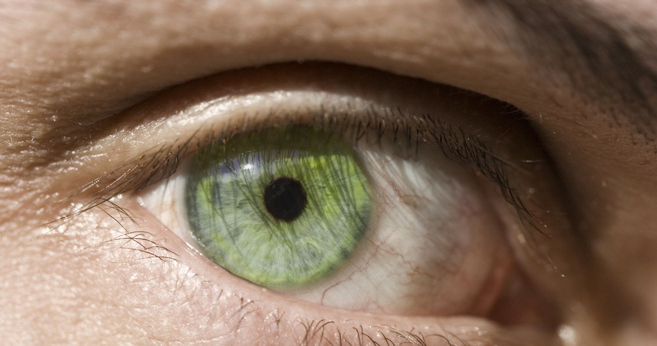 Szacuje się, że zielone oczy ma tylko 2 procent ludzi na świecie. Astrolodzy twierdzą, że to nie przypadek /Pixel