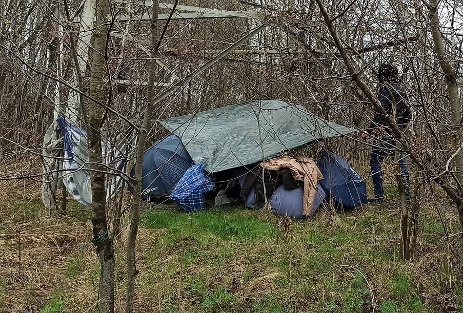 Szałas, w którym ukrywał się poszukiwany mężczyzna /Policja Łódzka /