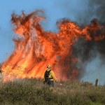 Szalejące pożary lasów w Kalifornii