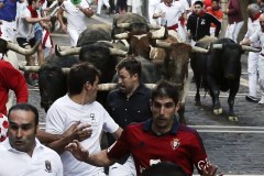 Szaleńcza gonitwa z bykami w Pampelunie