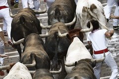Szaleńcza gonitwa z bykami w Pampelunie