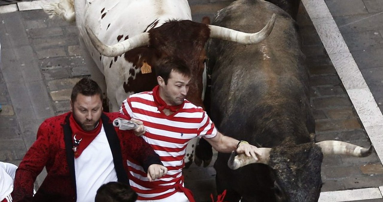 Szaleńcza gonitwa z bykami w Pampelunie