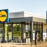 Szalona promocja na robota planetarnego w Lidlu! Zaoszczędzisz kilkadziesiąt złotych!