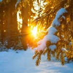 Szalona zmiana pogody! Temperatura wzrośnie o 30 stopni Celsjusza!