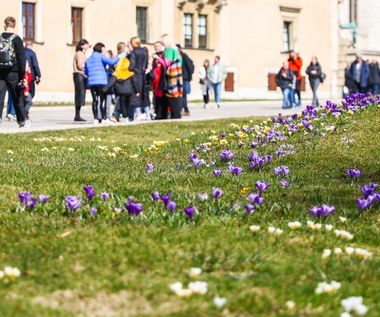 Szalona zmiana w pogodzie na weekend. Najpierw jednak lokalne burze i deszcz