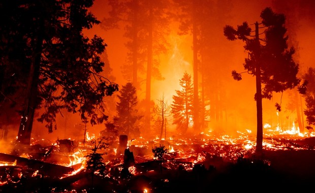 "Szalone" pożary w Kalifornii. W Los Angeles rekord temperatury