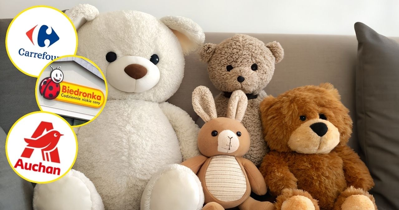 Szalony Dzień Pluszaków! Zobacz, gdzie kupisz maskotki za grosze! /CanvaPro /INTERIA.PL