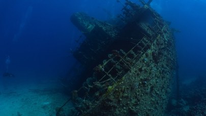 Szampan i wino. Sensacyjne znalezisko na dnie Bałtyku