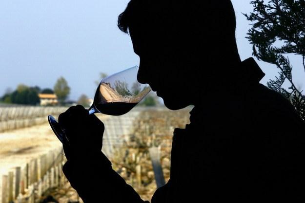Szansą dla małopolskich winnic, oprócz produkcji wina, jest enoturystyka /AFP