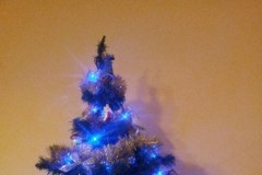 Szare, bure i pstrokate. Wielka galeria Waszych kociaków! Część 4