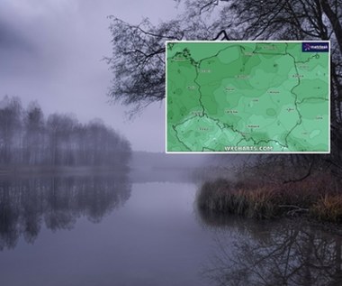 Szaro, mgliście i nieprzyjemnie. Do Polski wróciła jesień