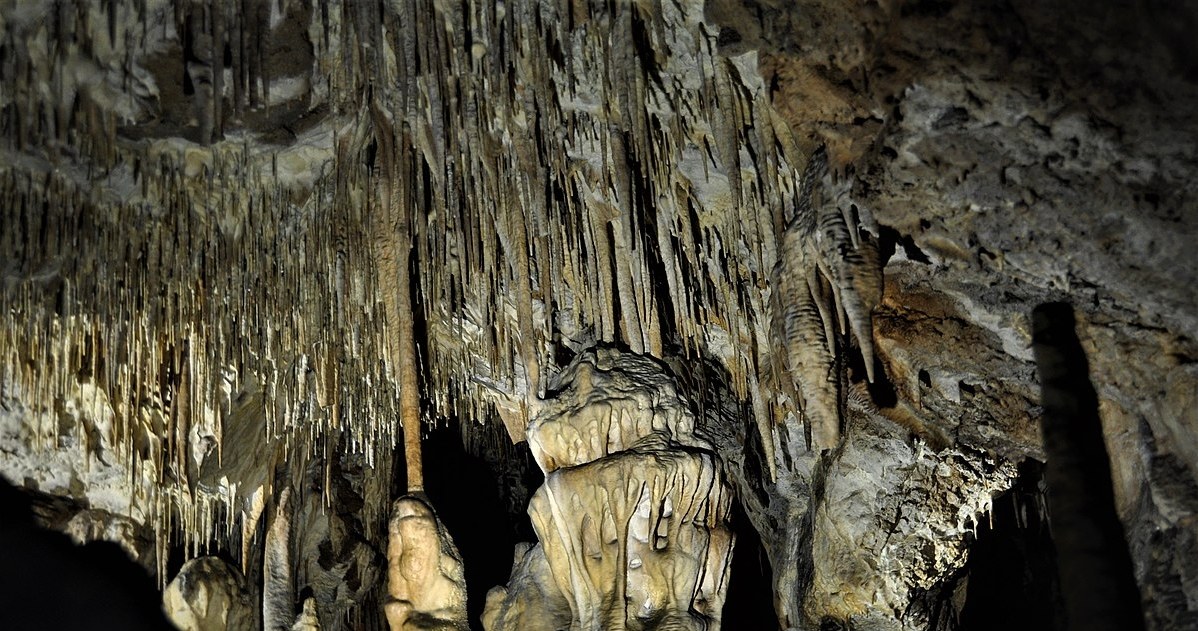 Dripstone formation of Raj Cave /PT Łysogóry/CC BY-SA 4.0 ( /Wikimedia