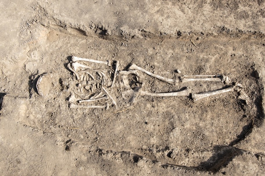 Przełomowe znalezisko. To najstarszy rodzinny pochówek w Polsce?