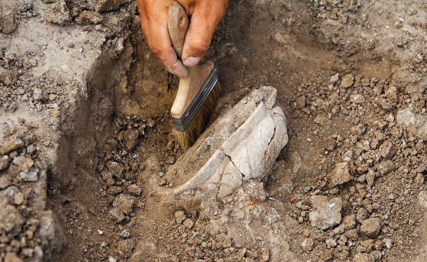 Szczątki ludzkie odnalezione podczas badań archeologicznych we Wrocławiu