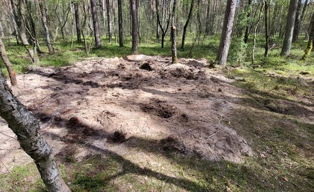 Szczątki obiektu wojskowego pod Bydgoszczą. Jest komentarz wojska