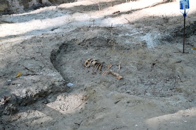 Szczątki pierwszej osoby znaleziono zaledwie kilka dni po rozpoczęciu wykopalisk /Marcin Gadomski /PAP