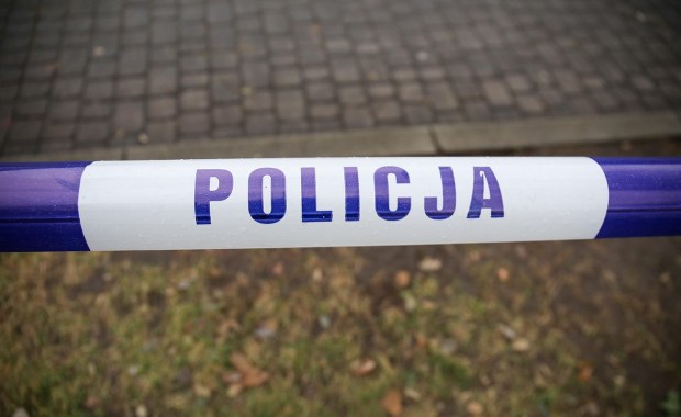 Szczątki płodów zakopane na działce. Co ustalili policjanci?
