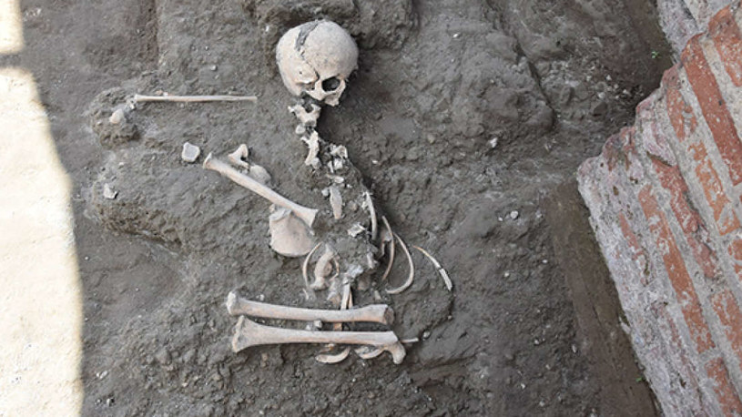 Szczątki znalezione w Pompejach /fot. Parco Archeologico Di Pompeii /materiały prasowe