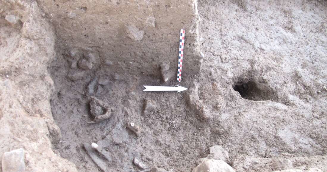 Szczątki znalezione w stanowisku archeologicznym Beisamoun /materiały prasowe