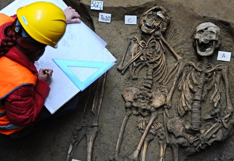 Szczątki zostaną poddane szczegółowym analizom laboratoryjnym /MAURIZIO DEGL'INNOCENTI /PAP/EPA