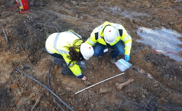 Szczątki zwierząt znalezione na budowie metra. Wezwano archeologów