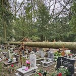 Szczecin: Cmentarz Centralny pozostanie zamknięty. Wiatr połamał prawie 130 drzew