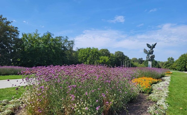 Szczecin: Kwiaty z miejskich rabatek do rozdania