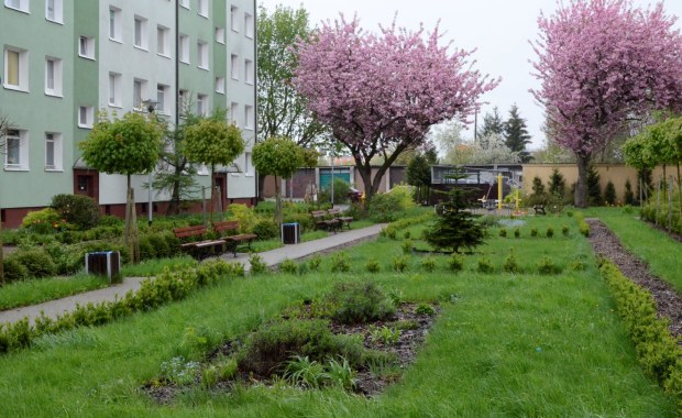 Szczecin: Można dostać dofinansowanie na remont podwórka