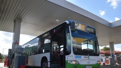 Szczecin: Przedwyborczy cud w cenach paliw