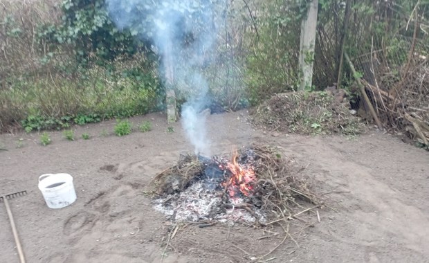 Szczecin: Słony mandat za spalanie liści o świcie