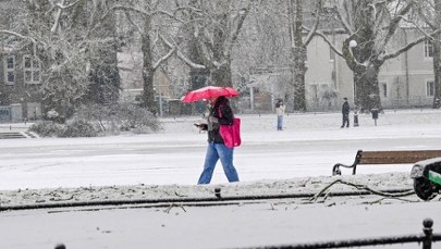 Szczecin sparaliżowany przez pogodę. Drugi dzień bez tramwajów w mieście 