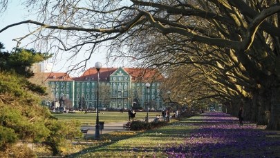 Szczecin uchwalił budżet na 2026 rok. Sprawdź, na co pójdą miliardy  