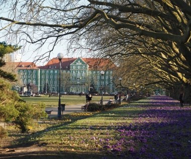 Szczecin uchwalił budżet na 2026 rok. Sprawdź, na co pójdą miliardy  