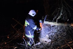 Szczecin: Wichura połamała drzewa
