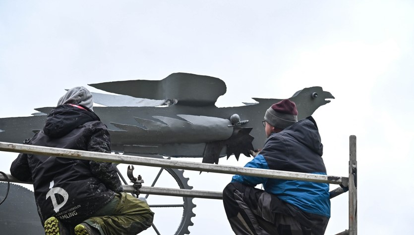 Szczecińskie ptaki wracają do życia. Jak feniks z popiołów