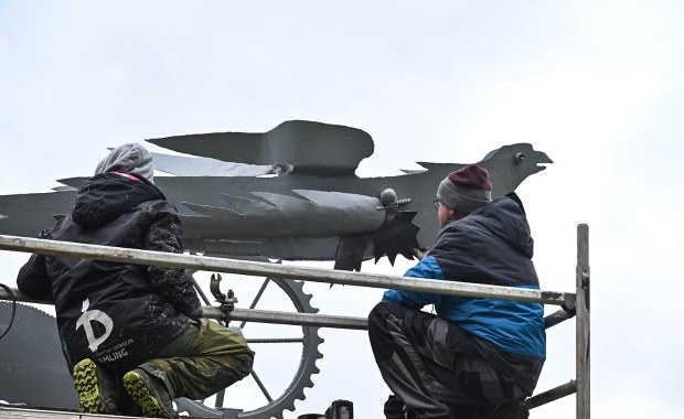 Szczecińskie ptaki wracają do życia. Jak feniks z popiołów