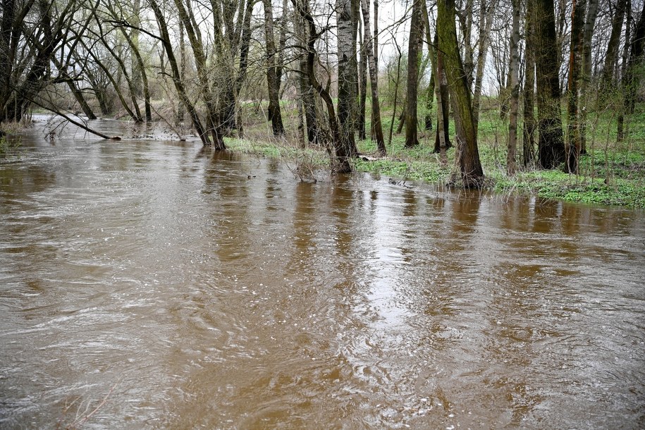 Szczególnie trudna sytuacja hydrologiczna panuje w województwie podkarpackim. Na zdjęciu rzeka Trzebośnica w Nowej Sarzynie /Darek Delmanowicz /PAP