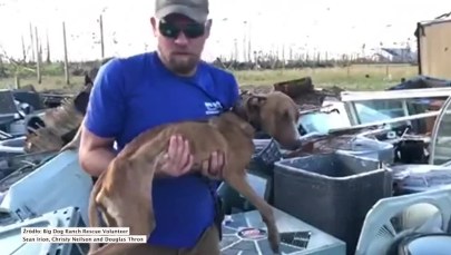 Szczeniak przetrwał trzy tygodnie pod gruzami po przejściu huraganu Dorian