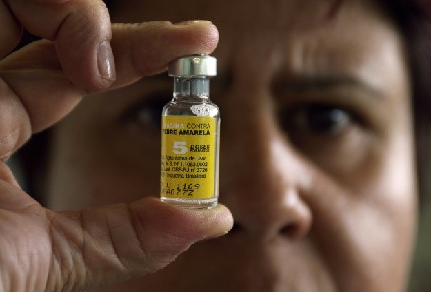 Szczepionka na żółtą febrę istnieje już od dawna, na dengę wciąż jej nie opracowano /AFP