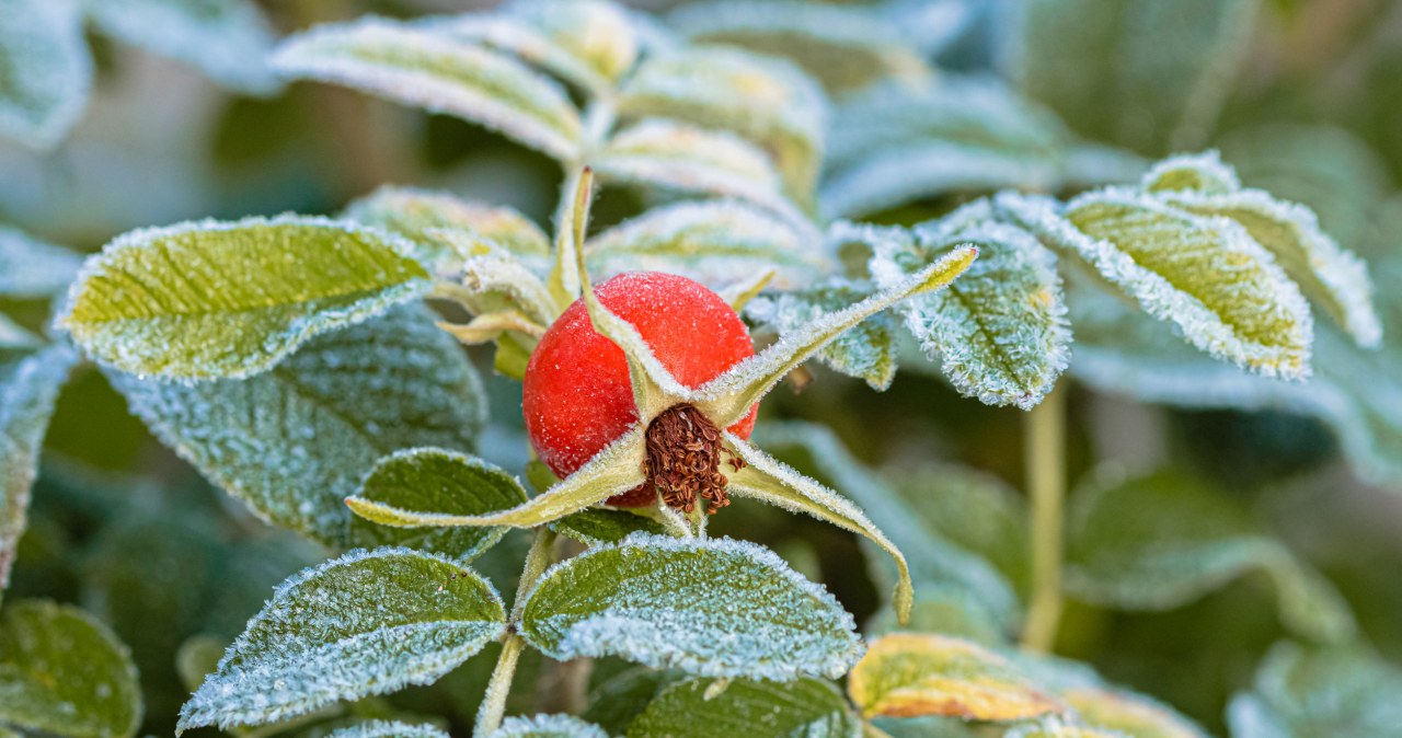 Szczęście w finansach może przynieść pewien prosty rytuał /123RF/PICSEL