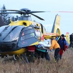 Szczęśliwy finał poszukiwań 12-latka. Cały czas trwał przy nim kundelek Misiek