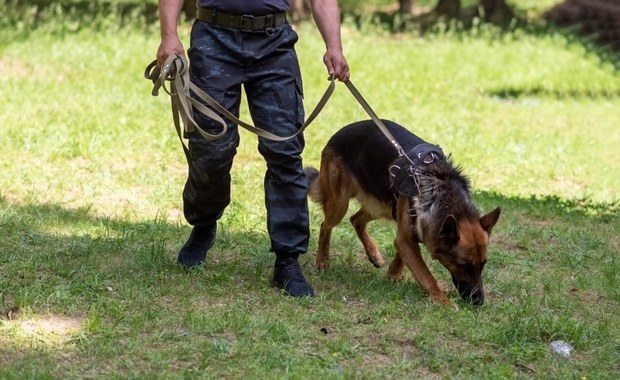 Szczęśliwy finał poszukiwań dwojga seniorów. W akcji policyjny dron i pies 