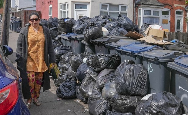 "Szczury wielkości kota". Plaga gryzoni i góry śmieci w brytyjskim mieście