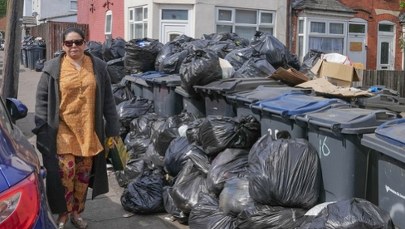 "Szczury wielkości kota". Plaga gryzoni i góry śmieci w brytyjskim mieście