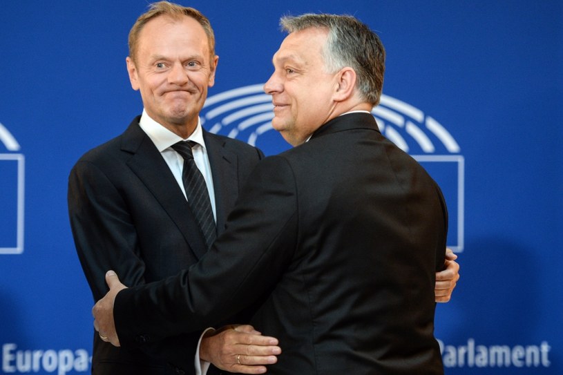 Szef EPL Donald Tusk i węgierski premier, lider Fideszu Viktor Orban /SEBASTIEN BOZON /AFP